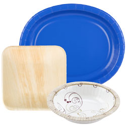 Paper Dinnerware