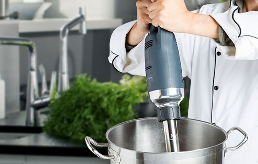 Avamix Immersion Blenders