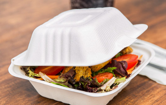 EcoChoice Paper Take-Out Boxes