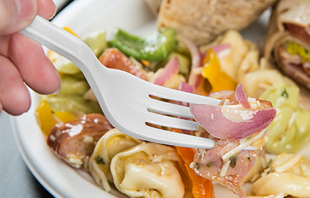 Visions Plastic Cutlery