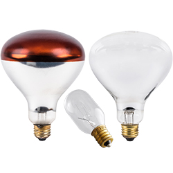 Commercial Light Bulbs